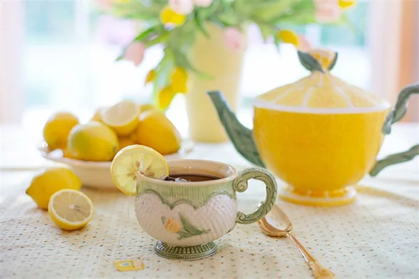寒さに強い花おすすめ10選！冬でも花を楽しむコツ