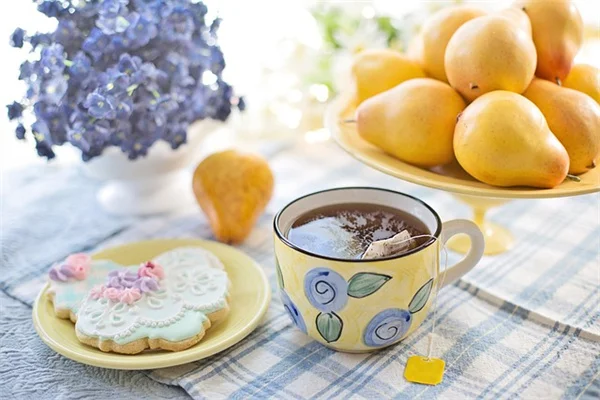 初心者でも作れるウェルネスガーデン5つのテーマと7つの実践テクニック